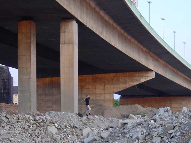 Zoobridge
